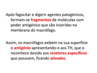 Após fagocitar e digerir agentes patogénicos,
formam-se fragmentos de moléculas com
poder antigénico que são inseridas na
membrana do macrófago.
Assim, os macrófagos exibem na sua superfície
o antigénio apresentando-o aos TH, que o
reconhece devido aos recetores específicos
que possuem, ficando ativados.
 