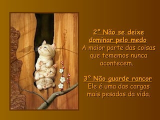 2°   Não se deixe dominar pelo medo   A maior parte das coisas que tememos nunca acontecem.    3°   Não guarde rancor   Ele é uma das cargas mais pesadas da vida. 
