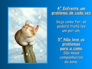 4° Enfrente um
problema de cada vez

  Seja como for, só
  poderá tratá-los
     um por um.

   5° Não leve os
     problemas
    para a cama
      São maus
    companheiros
      do sono.
 
