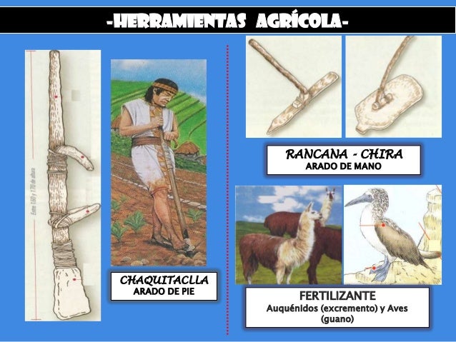 Sexo putas tetonas joder apretado Putas a domicilio san miguel putas chiquillas