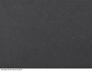 domingo 23 de marzo de 2014
 