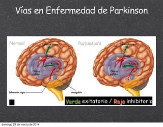 Verde exitatorio / Rojo inhibitorio
Normal Parkinson’s
Vías en Enfermedad de Parkinson
domingo 23 de marzo de 2014
 