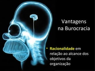 Vantagens
      na Burocracia


• Racionalidade em
  relação ao alcance dos
  objetivos da
  organização
 