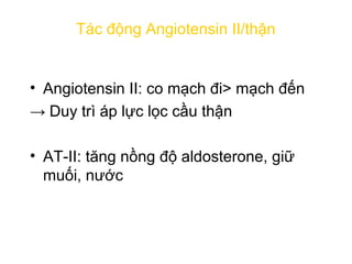 Angiotensinogen
Angiotensin I
Angiotensin II
Co mạch
↑ sức đề kháng
ngoại biên
↑ HUYẾT ÁP
Bài tiết
Aldosterone
↑ Giữ muối,...