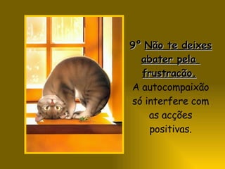 9°   Não te deixes abater pela  frustracão.   A autocompaixão só interfere com as acções positivas. 