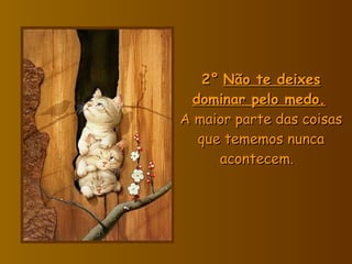 2°   Não te deixes dominar pelo medo.   A maior parte das coisas que tememos nunca acontecem.    