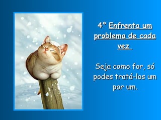 4°   Enfrenta um problema de cada vez  Seja como for, só podes tratá-los um por um. 