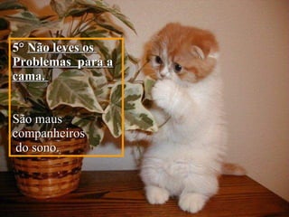 5°   Não leves os  Problemas  para a cama.  São maus companheiros do sono. 