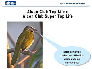 www.alconpet.com.br Estes alimentos podem ser utilizados como dieta de manutenção? Alcon Club Top Life e Alcon Club Super Top Life 
