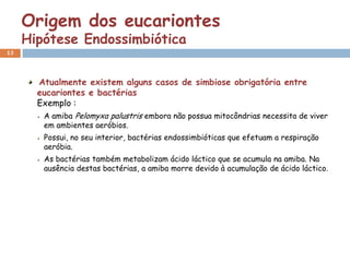 Origem dos eucariontes
     Hipótese Endossimbiótica
13




       Atualmente existem alguns casos de simbiose obrigatória entre
       eucariontes e bactérias
       Exemplo :
        A amiba Pelomyxa palustris embora não possua mitocôndrias necessita de viver
        em ambientes aeróbios.
        Possui, no seu interior, bactérias endossimbióticas que efetuam a respiração
        aeróbia.
        As bactérias também metabolizam ácido láctico que se acumula na amiba. Na
        ausência destas bactérias, a amiba morre devido à acumulação de ácido láctico.
 