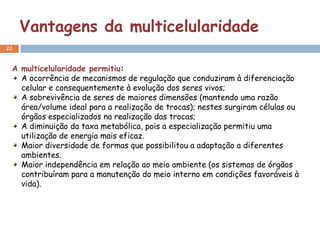 Vantagens da multicelularidade
22


 A multicelularidade permitiu:
   A ocorrência de mecanismos de regulação que conduziram à diferenciação
   celular e consequentemente à evolução dos seres vivos;
   A sobrevivência de seres de maiores dimensões (mantendo uma razão
   área/volume ideal para a realização de trocas); nestes surgiram células ou
   órgãos especializados na realização das trocas;
   A diminuição da taxa metabólica, pois a especialização permitiu uma
   utilização de energia mais eficaz.
   Maior diversidade de formas que possibilitou a adaptação a diferentes
   ambientes.
   Maior independência em relação ao meio ambiente (os sistemas de órgãos
   contribuíram para a manutenção do meio interno em condições favoráveis à
   vida).
 