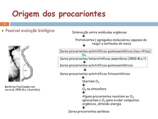 Origem dos procariontes
4

    Possível evolução biológica
 