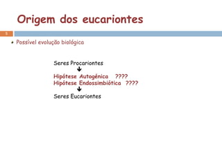 Origem dos eucariontes
5

    Possível evolução biológica


                  Seres Procariontes
                          
                  Hipótese Autogénica ????
                  Hipótese Endossimbiótica ????
                          
                  Seres Eucariontes
 