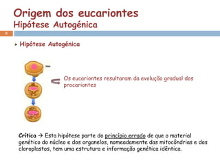 Origem dos eucariontes
    Hipótese Autogénica
8


     Hipótese Autogénica




                     Os eucariontes resultaram da evolução gradual dos
                     procariontes




     Crítica  Esta hipótese parte do princípio errado de que o material
     genético do núcleo e dos organelos, nomeadamente das mitocôndrias e dos
     cloroplastos, tem uma estrutura e informação genética idêntica.
 
