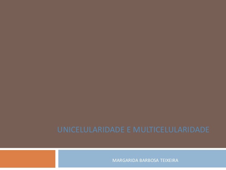 UNICELULARIDADE E MULTICELULARIDADE            MARGARIDA BARBOSA TEIXEIRA 