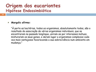 Origem dos eucariontes
     Hipótese Endossimbiótica
14




       Margulis afirma:

       “À parte as bactérias, todos os organismos, absolutamente todos, são o
       resultado da associação de vários organismos individuais, que se
       encontraram no passado longínquo, uniram-se por interesses mútuos,
       misturaram os seus genes, e deram lugar a organismos complexos cada
       vez mais vantajosos favorecendo a sua sobrevivência num ambiente em
       mudança.”
 