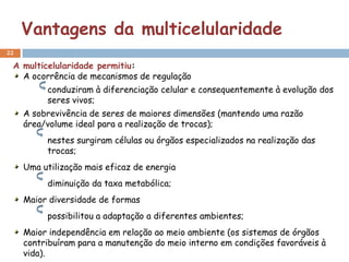 Vantagens da multicelularidade
22

 A multicelularidade permitiu:
   A ocorrência de mecanismos de regulação
          conduziram à diferenciação celular e consequentemente à evolução dos
          seres vivos;
     A sobrevivência de seres de maiores dimensões (mantendo uma razão
     área/volume ideal para a realização de trocas);
          nestes surgiram células ou órgãos especializados na realização das
          trocas;
     Uma utilização mais eficaz de energia
          diminuição da taxa metabólica;
     Maior diversidade de formas
          possibilitou a adaptação a diferentes ambientes;
     Maior independência em relação ao meio ambiente (os sistemas de órgãos
     contribuíram para a manutenção do meio interno em condições favoráveis à
     vida).
 