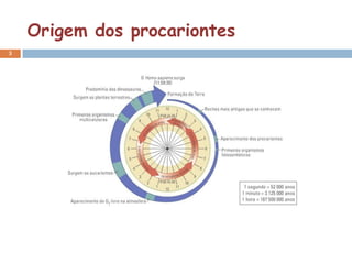 Origem dos procariontes
3
 