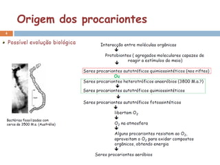 Origem dos procariontes
4

    Possível evolução biológica
 