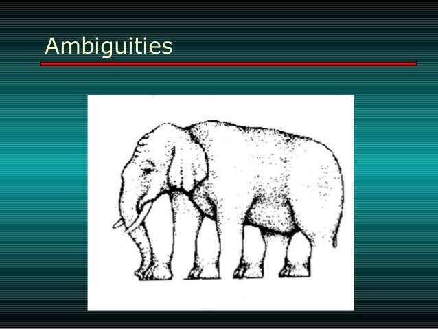 10 visual ambiguities