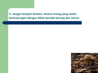 5. Jangan banyak tertawa, karena orang yang selalu berhubungan dengan Allah bersifat tenang dan serius   