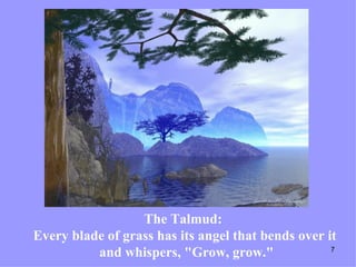 The Talmud:  Every blade of grass has its angel that bends over it  and whispers, "Grow, grow." 
