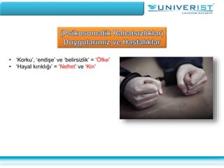 • ‘Korku’, ‘endişe’ ve ‘belirsizlik’ = ‘Öfke’
• ‘Hayal kırıklığı’ = ‘Nefret’ ve ‘Kin’
 