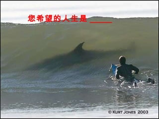 您希望的人生是 _____ 