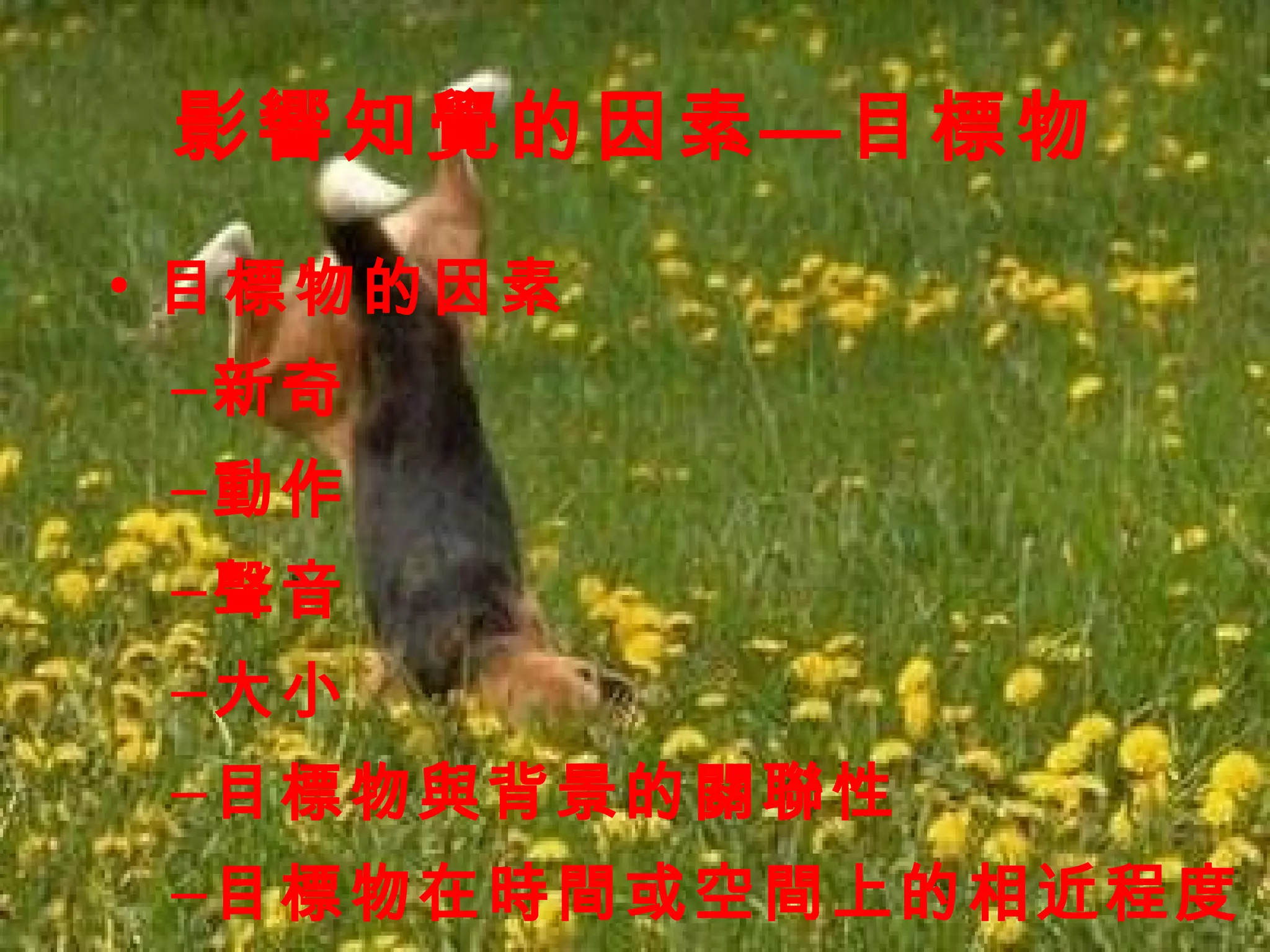 影響知覺的因素—目標物 目標物的因素 新奇 動作 聲音 大小 目標物與背景的關聯性 目標物在時間或空間上的相近程度 