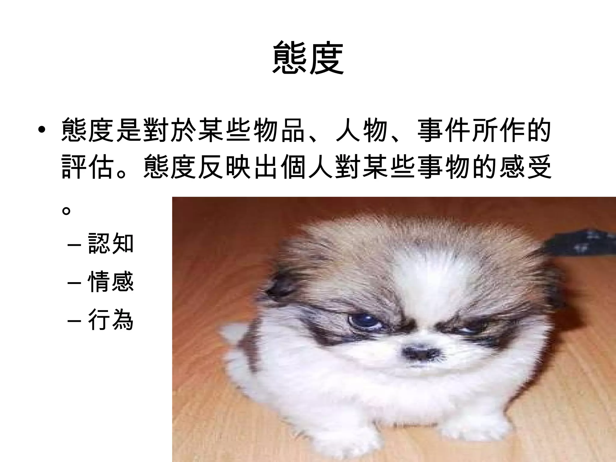 態度 態度是對於某些物品、人物、事件所作的評估。態度反映出個人對某些事物的感受。 認知 情感 行為 