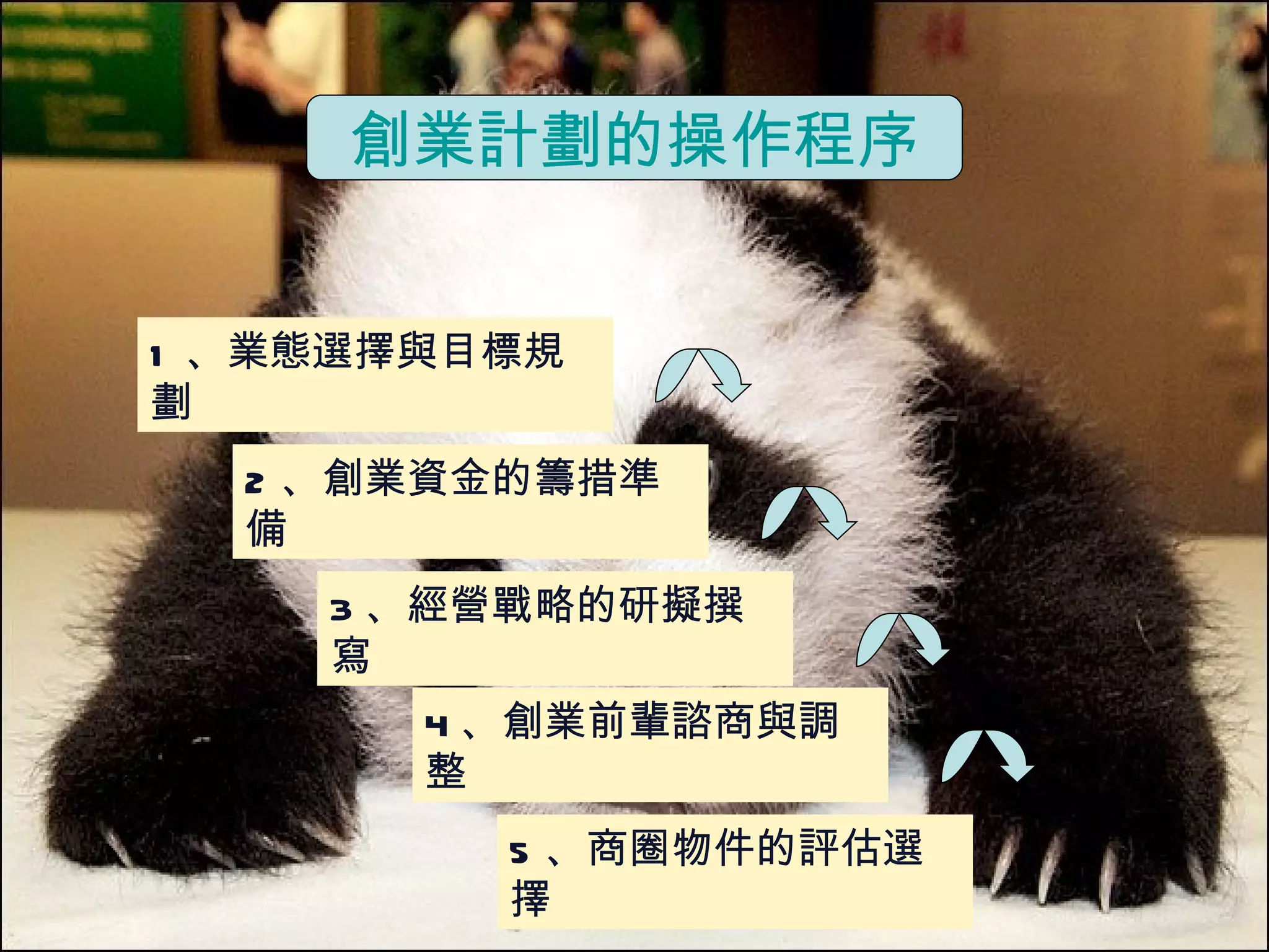 創業計劃的操作程序 1 、業態選擇與目標規劃 2 、創業資金的籌措準備 3 、經營戰略的研擬撰寫 4 、創業前輩諮商與調整 5 、商圈物件的評估選擇 