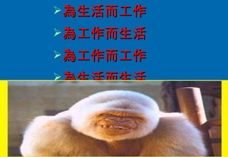 為生活而工作 為工作而生活 為工作而工作 為生活而生活 