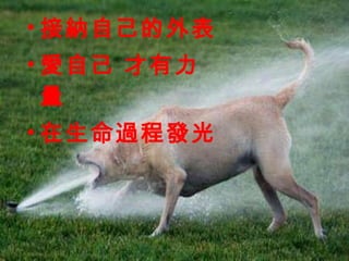 接納自己的外表 愛自己 才有力量 在生命過程發光 