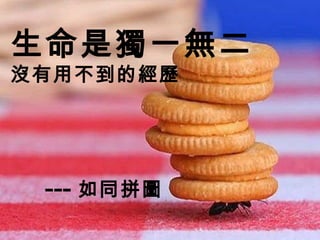 生命是獨一無二 沒有用不到的經歷 --- 如同拼圖 