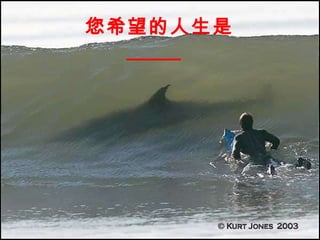 您希望的人生是 _____ 