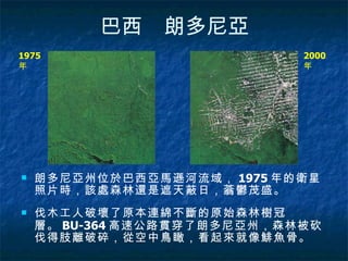 巴西　朗多尼亞 朗多尼亞州位於巴西亞馬遜河流域， 1975 年的衛星照片時，該處森林還是遮天蔽日，蓊鬱茂盛。 伐木工人破壞了原本連綿不斷的原始森林樹冠層。 BU-364 高速公路貫穿了朗多尼亞州，森林被砍伐得肢離破碎，從空中鳥瞰，看起來就像鯡魚骨。  1975 年 2000 年 