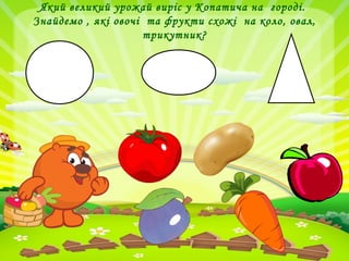 Який великий урожай виріс у Копатича на городі.
Знайдемо , які овочі та фрукти схожі на коло, овал,
трикутник?
 