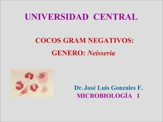 COCOSCOCOS GRAMGRAM NEGATIVOS:NEGATIVOS:
GENERO:GENERO: NeisseriaNeisseria
UNIVERSIDAD CENTRAL
Dr.José Luis Gonzales F.
MICROBIOLOGÍA I
 