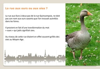 La rue aux ours ou aux oies ?
La rue aux Ours à deux pas de la rue Quincampoix, ne doit
pas son nom aux ours savants que l’on trouvait autrefois
dans les foires.
Il provient en fait d’une transformation du mot
« oues » qui jadis signifiait oies.
Au niveau de cette rue étaient en effet souvent grillés des
oies au Moyen-Age.

 