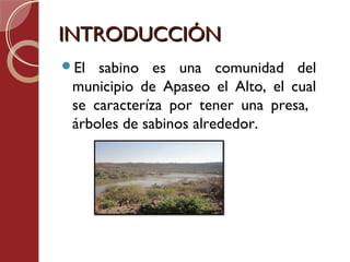 INTRODUCCIÓN
El  sabino es una comunidad del
 municipio de Apaseo el Alto, el cual
 se caracteríza por tener una presa,
 árboles de sabinos alrededor.
 