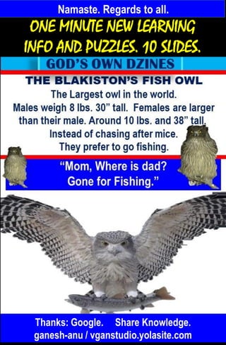 Namaste. Regards to all.
Thanks: Google. Share Knowledge.
ganesh-anu / vganstudio.yolasite.com
ONE MINUTE NEW LEARNING
INFO AND PUZZLES. 10 SLIDES.
 