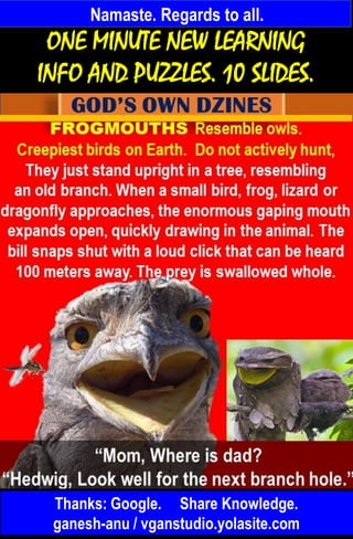 Namaste. Regards to all.
Thanks: Google. Share Knowledge.
ganesh-anu / vganstudio.yolasite.com
ONE MINUTE NEW LEARNING
INFO AND PUZZLES. 10 SLIDES.
 