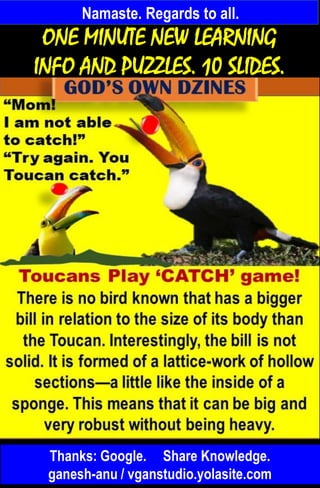 Namaste. Regards to all.
Thanks: Google. Share Knowledge.
ganesh-anu / vganstudio.yolasite.com
ONE MINUTE NEW LEARNING
INFO AND PUZZLES. 10 SLIDES.
 