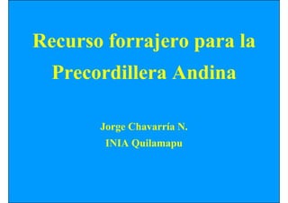 Recurso forrajero para la
Precordillera Andina
Jorge Chavarría N.
INIA Quilamapu

 
