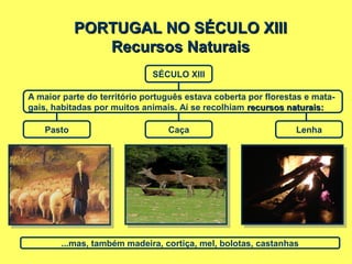 PORTUGAL NO SÉCULO XIIIPORTUGAL NO SÉCULO XIII
Recursos NaturaisRecursos Naturais
SÉCULO XIII
A maior parte do território português estava coberta por florestas e mata-
gais, habitadas por muitos animais. Aí se recolhiam recursos naturais:recursos naturais:
Pasto Caça Lenha
...mas, também madeira, cortiça, mel, bolotas, castanhas
 