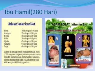 Ibu Hamil(280 Hari)
 