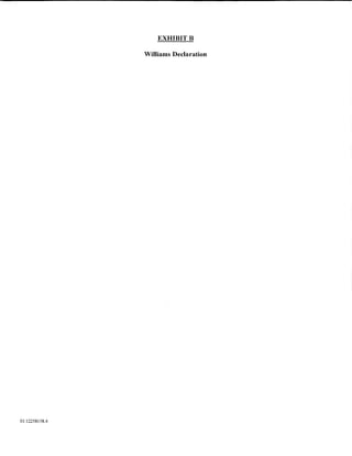 EXHIBITB

                Williams Declaration




01:12258158.4
 