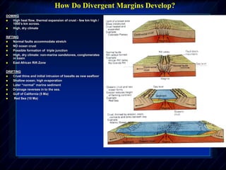 DOMING
 High heat flow, thermal expansion of crust - few km high /
1000’s km across.
 High, dry climate
RIFTING
 Normal faults accommodate stretch
 NO ocean crust
 Possible formation of triple junction
 High, dry climate: non-marine sandstones, conglomerates
in basin
 East African Rift Zone
DRIFTING
 Crust thins and initial intrusion of basalts as new seafloor
 Shallow ocean; high evaporation
 Later “normal” marine sediment
 Drainage reverses in to the sea.
 Gulf of California (5 Ma)
 Red Sea (10 Ma)
How Do Divergent Margins Develop?
 