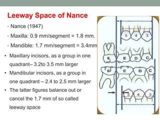 Leeway Space of Nance
• Nance (1947)
• Maxilla: 0.9 mm/segment = 1.8 mm.
• Mandible: 1.7 mm/segment = 3.4mm.
• Maxillary incisors, as a group in one
quadrant– 3.2to 3.5 mm larger
• Mandibular incisors, as a group in
one quadrant – 2.4 to 2.5 mm larger
• The latter figures balance out or
cancel the 1.7 mm of so called
leeway space
 