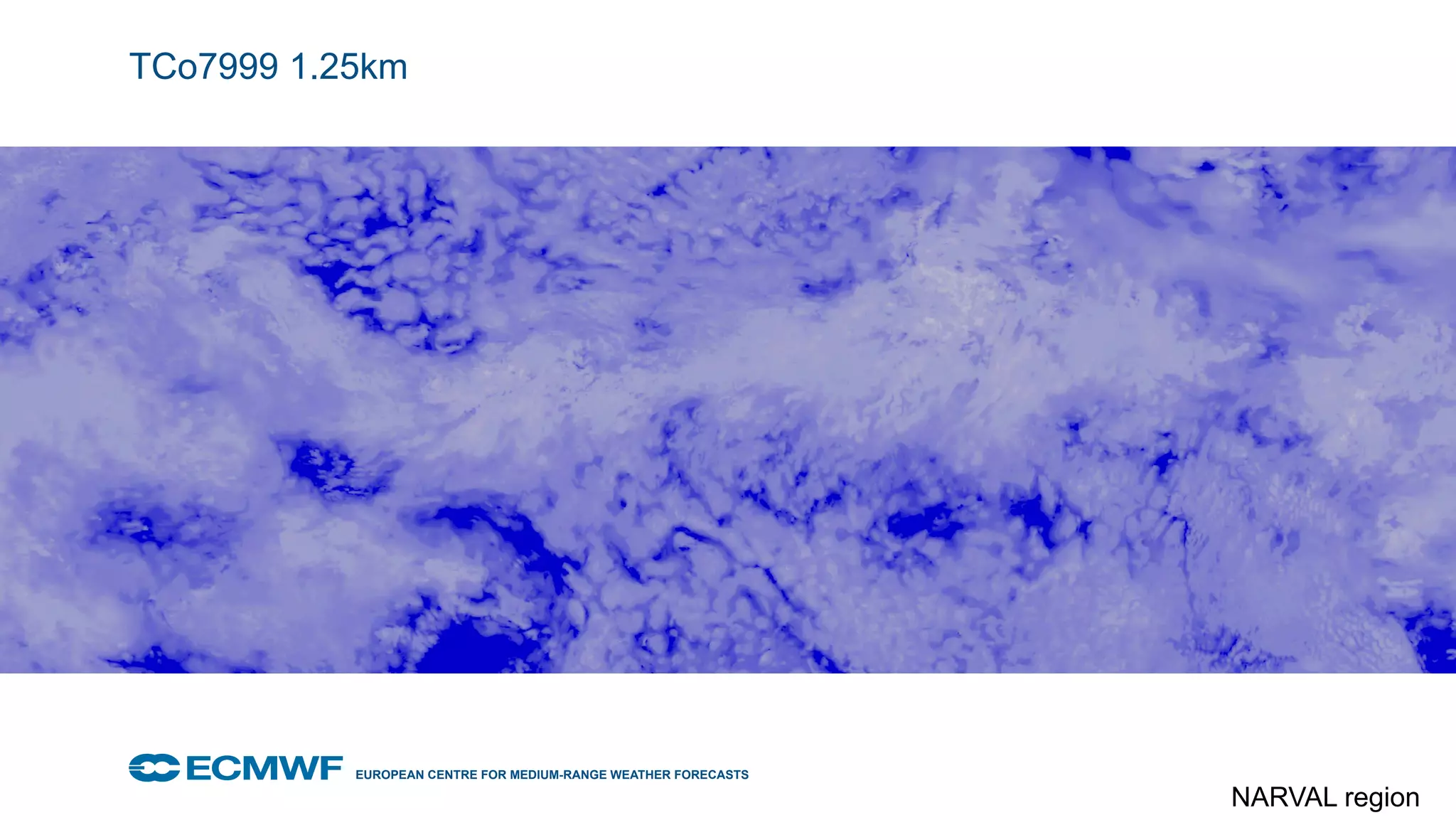 EUROPEAN CENTRE FOR MEDIUM-RANGE WEATHER FORECASTS October 29, 2014
TCo7999 1.25km
NARVAL region
 